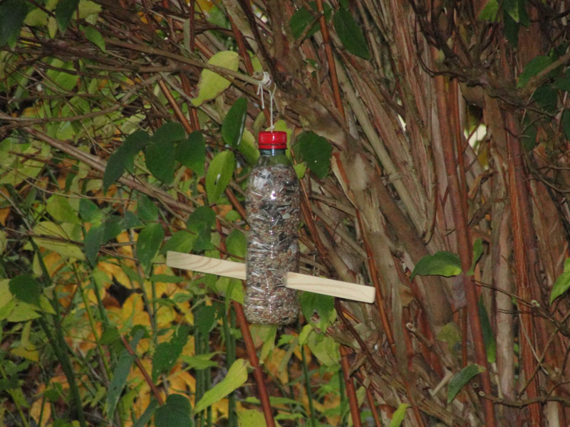 Wildvoegel-fuettern Vogelfutterstation3