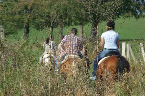 Quelle: LANDSPIEGEL Bild2_050_001_4c__47318vorschau